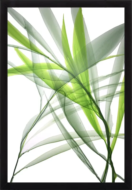 Tropical Study no. 3 by Marina Dunbar  for Artfully Walls