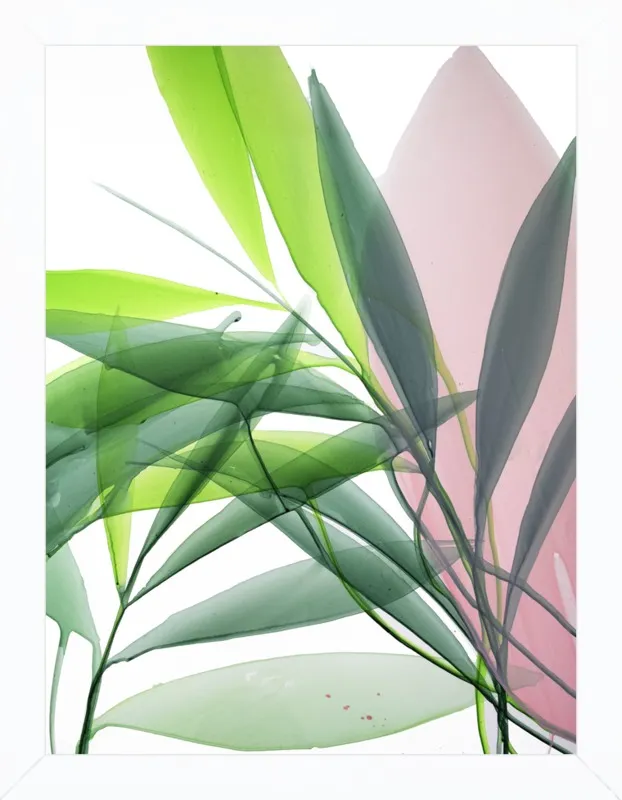 Tropical Study no. 15 by Marina Dunbar  for Artfully Walls