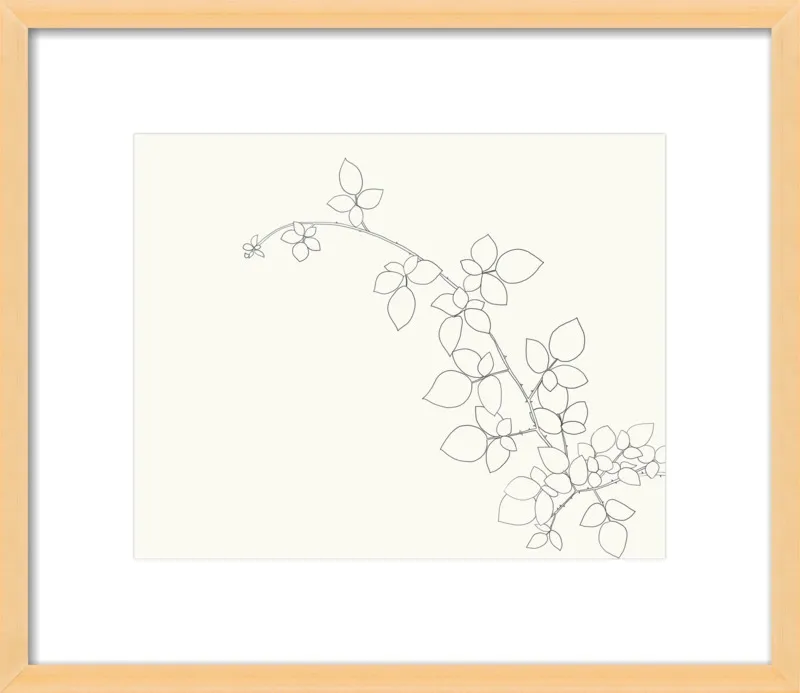 Blackberry  by Jorey Hurley for Artfully Walls