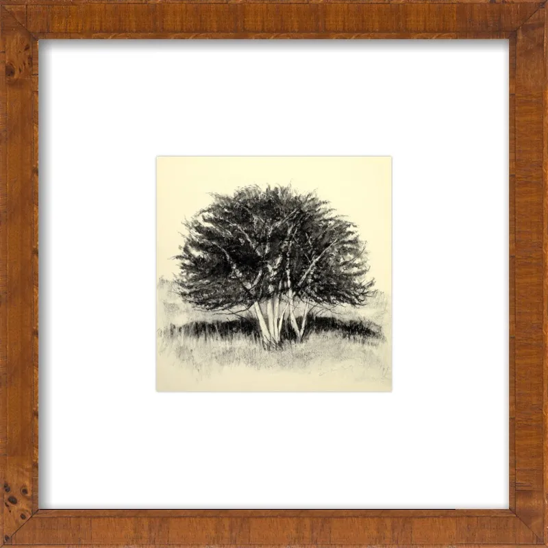 Old Apple Tree by Rich Gombar for Artfully Walls