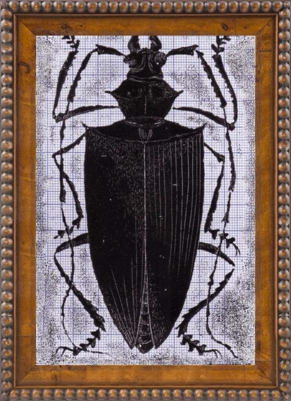 Black Beetle on Grey by Tennopent Sooster for Artfully Walls