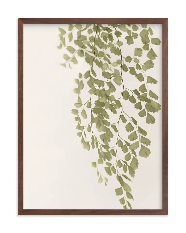 Softness Limited Edition Fine Art Print