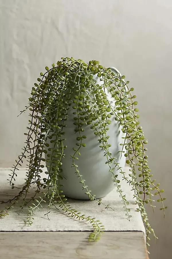 Faux Trailing Fern