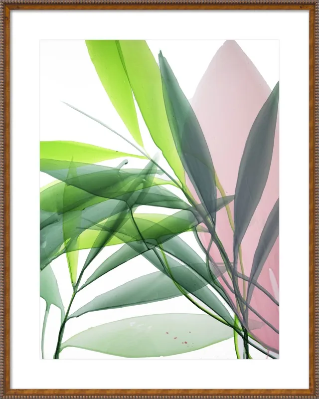 Tropical Study no. 15 by Marina Dunbar  for Artfully Walls