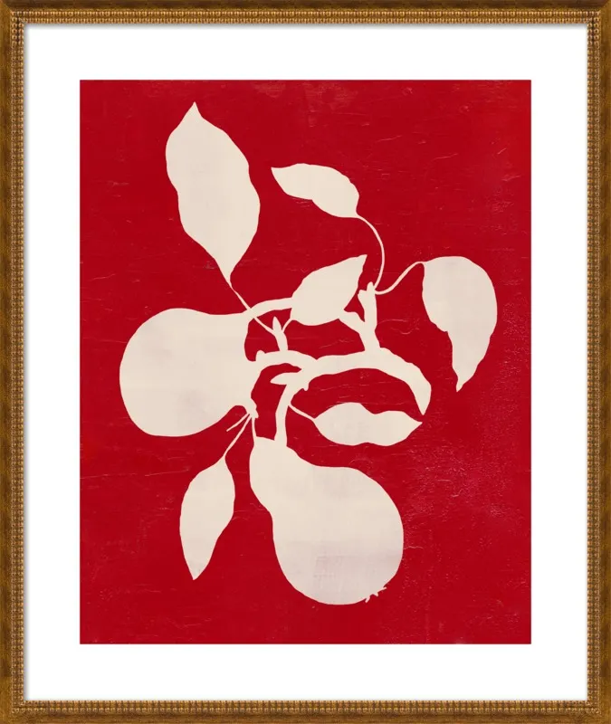 pears by Ruti Shaashua for Artfully Walls