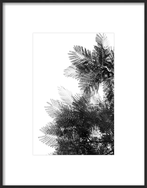 The Tree Top I by Tal Paz-Fridman for Artfully Walls