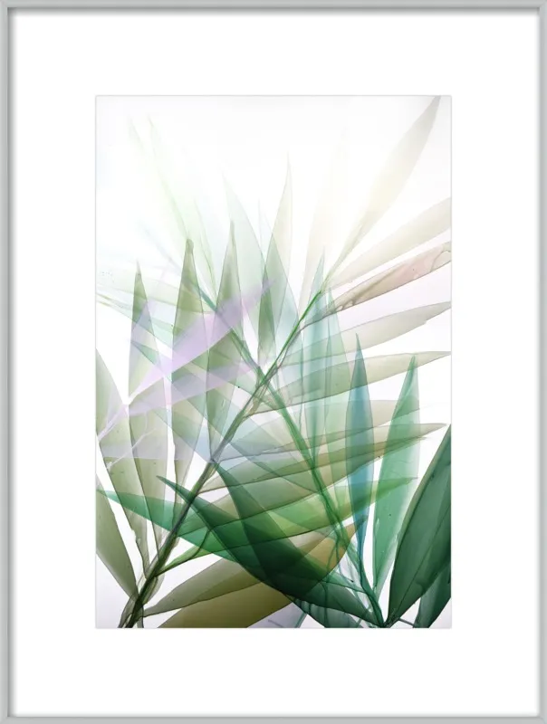 Tropical Study no. 8 by Marina Dunbar  for Artfully Walls