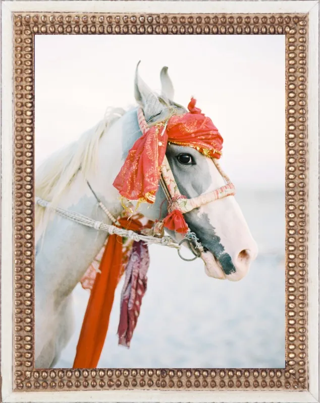 Marwari by Andrew Jacona for Artfully Walls