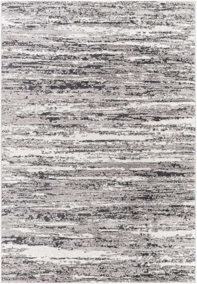 Andorra Plus Black Indoor 2' x 2'11" Machine Woven Rug