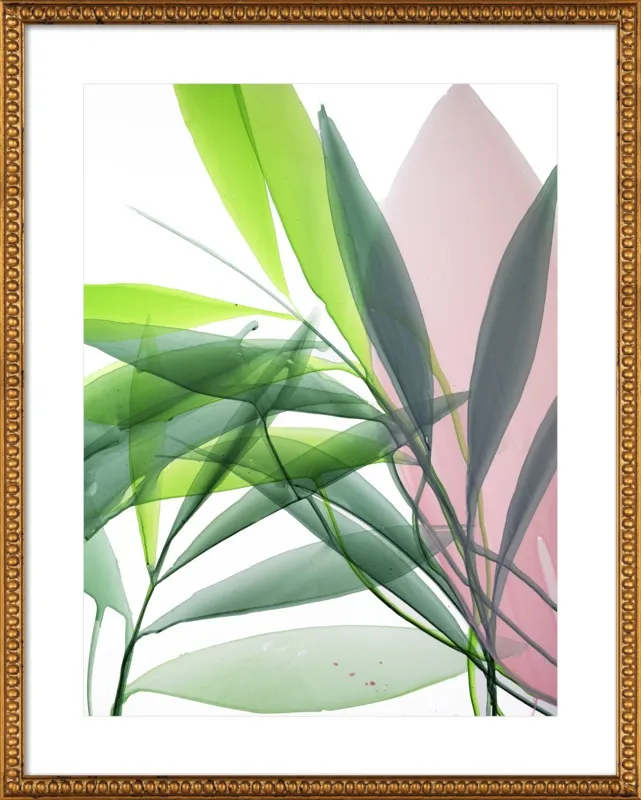 Tropical Study no. 15 by Marina Dunbar  for Artfully Walls