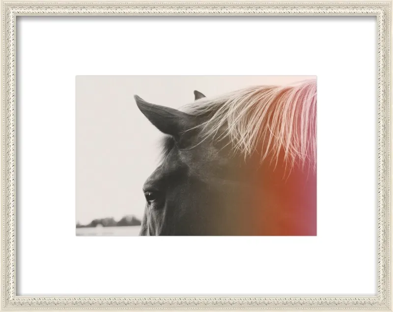 Pink Pony by Alicia Bock for Artfully Walls