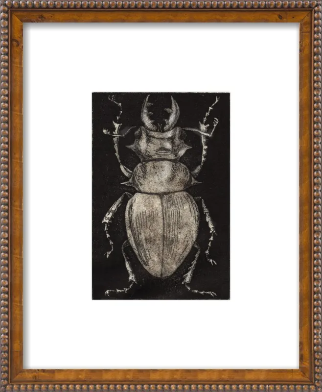 Grey Beetle on Black by Tennopent Sooster for Artfully Walls