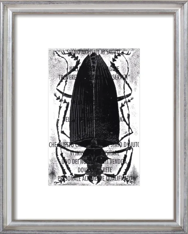 Black Beetle on Words by Tennopent Sooster for Artfully Walls