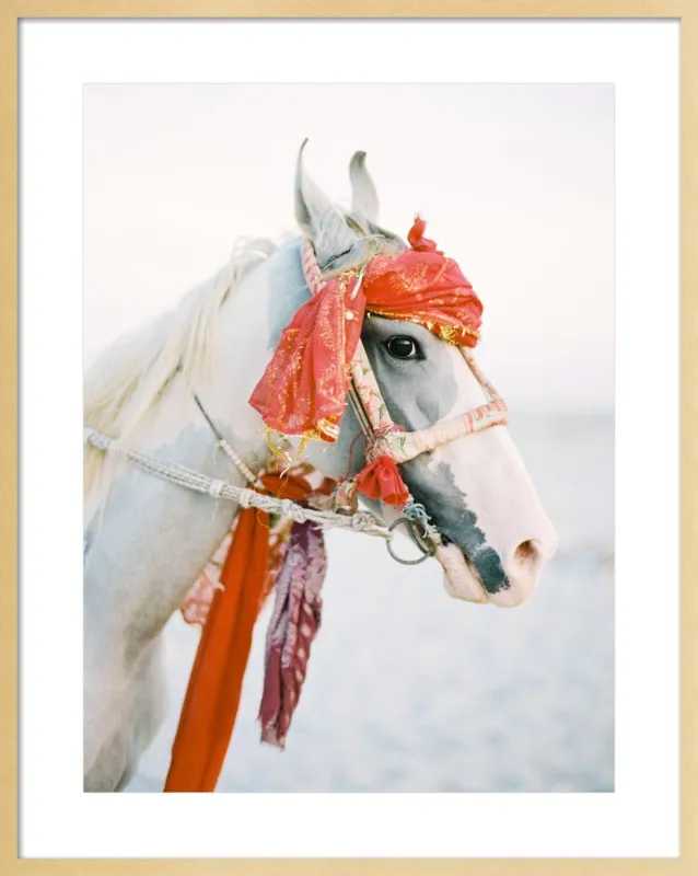 Marwari by Andrew Jacona for Artfully Walls