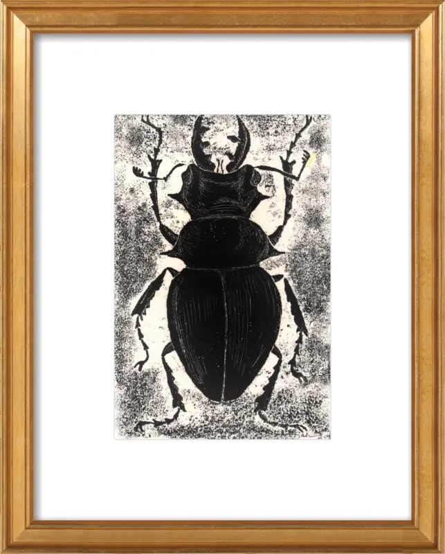 Black Beetle on White by Tennopent Sooster for Artfully Walls