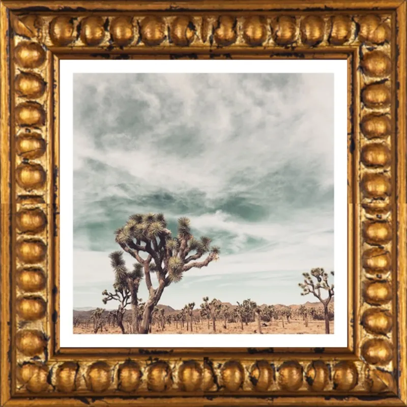 Joshua Tree Moment by Jan Weiss for Artfully Walls