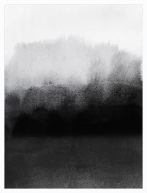 greyscale landscape by Iris Lehnhardt for Artfully Walls
