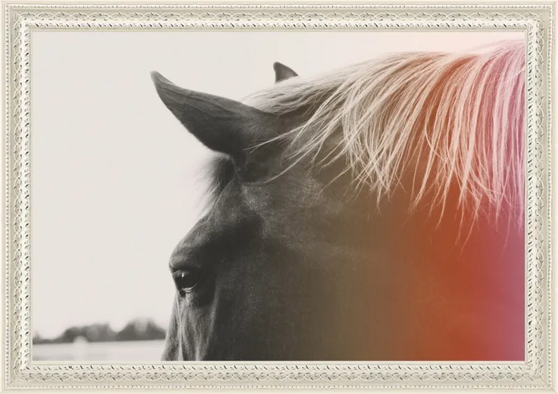 Pink Pony by Alicia Bock for Artfully Walls