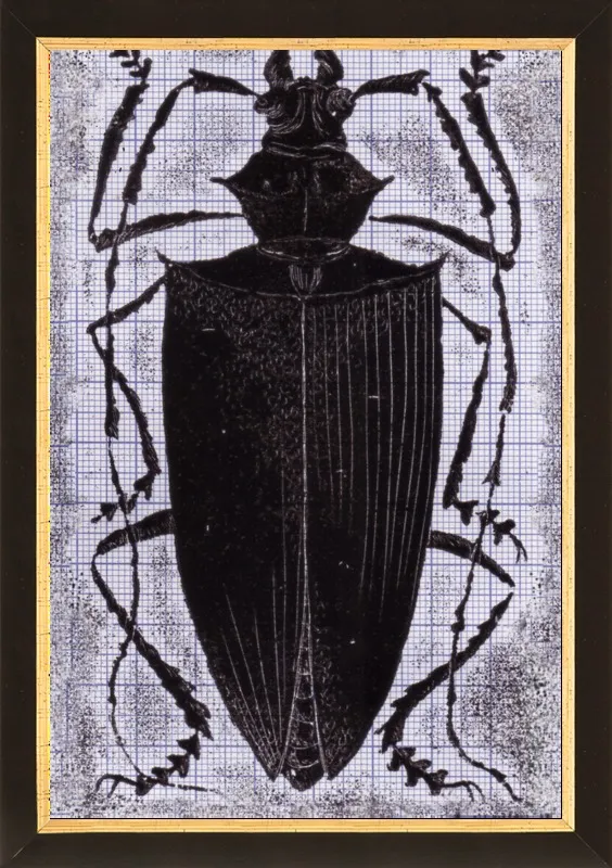 Black Beetle on Grey by Tennopent Sooster for Artfully Walls