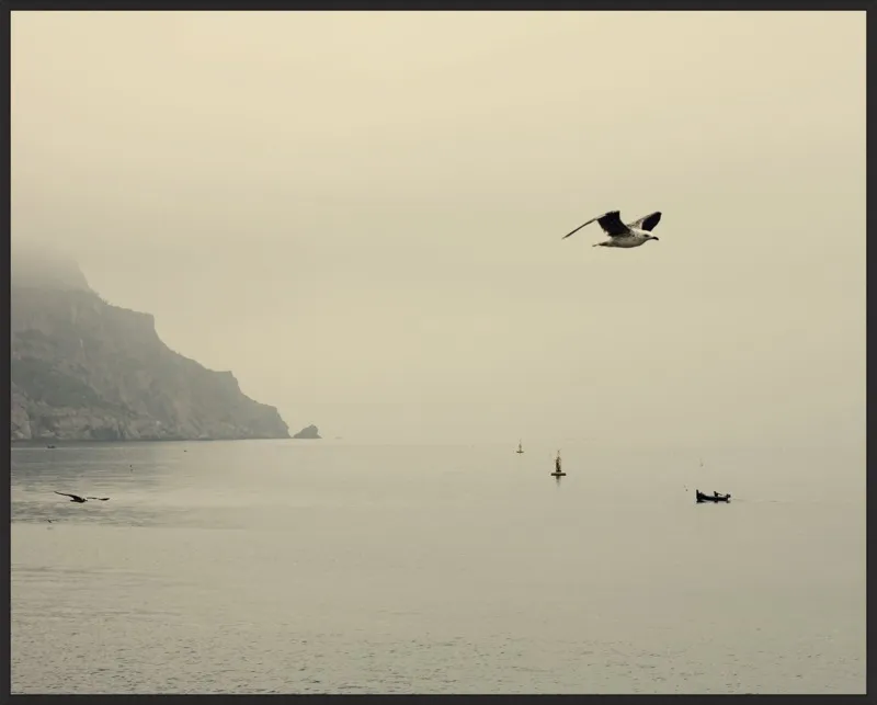 one day I will fly away by Ingrid Beddoes for Artfully Walls