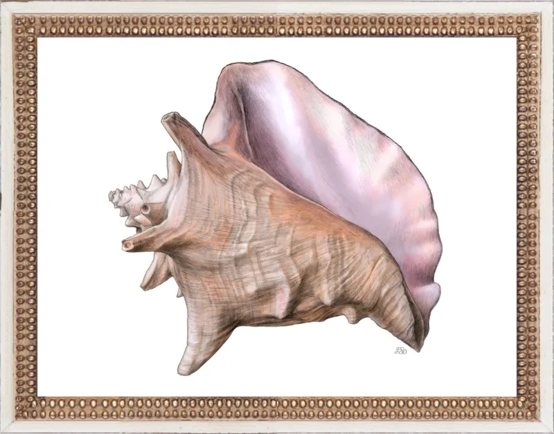 Queen conch  by Emily S. Damstra for Artfully Walls