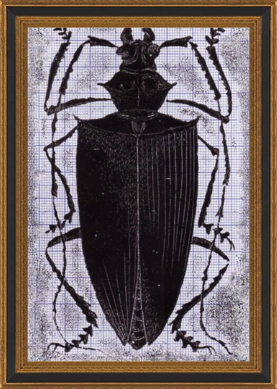 Black Beetle on Grey by Tennopent Sooster for Artfully Walls