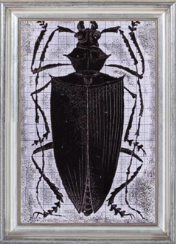 Black Beetle on Grey by Tennopent Sooster for Artfully Walls