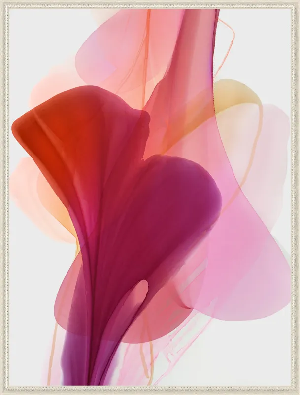 Abstract Flora Bloomlands 33 by Marta Spendowska for Artfully Walls