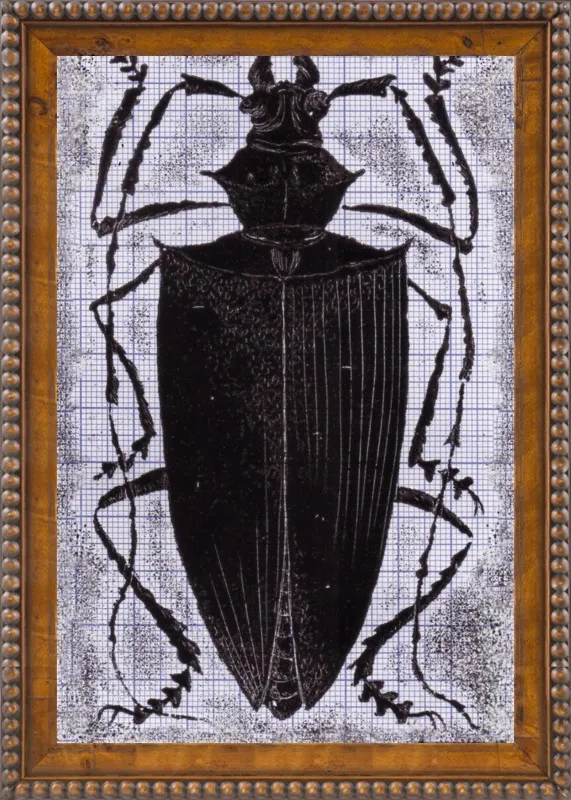 Black Beetle on Grey by Tennopent Sooster for Artfully Walls