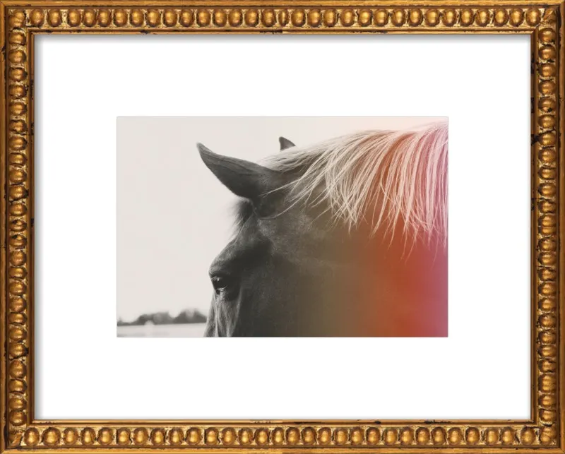 Pink Pony by Alicia Bock for Artfully Walls