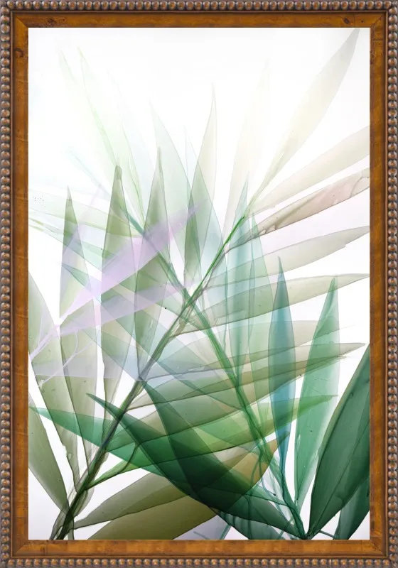 Tropical Study no. 8 by Marina Dunbar  for Artfully Walls