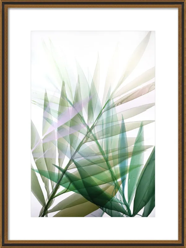 Tropical Study no. 8 by Marina Dunbar  for Artfully Walls