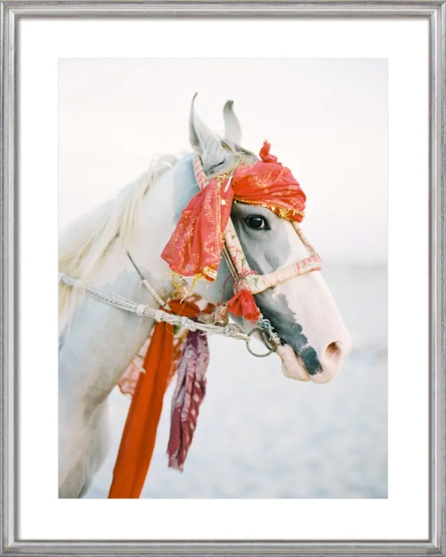 Marwari by Andrew Jacona for Artfully Walls