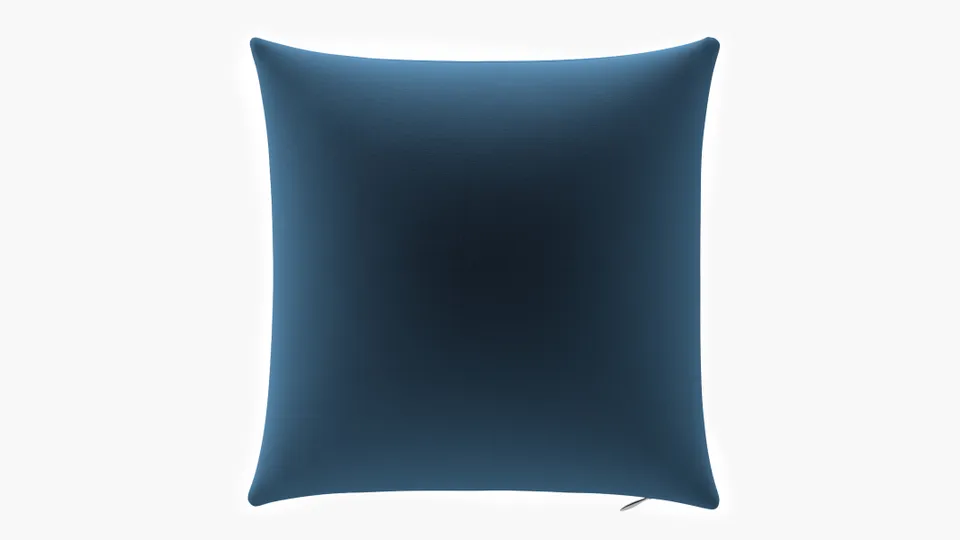 Throw Pillow 22", Royal Performance Velvet, 22" x 22"