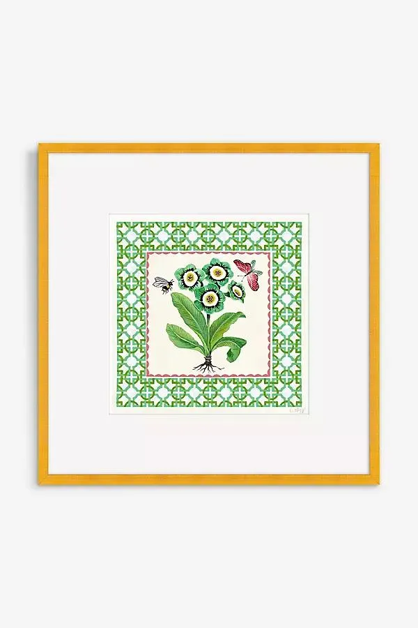 Primula Auricula Benny Green Wall Art