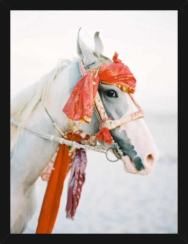 Marwari by Andrew Jacona for Artfully Walls