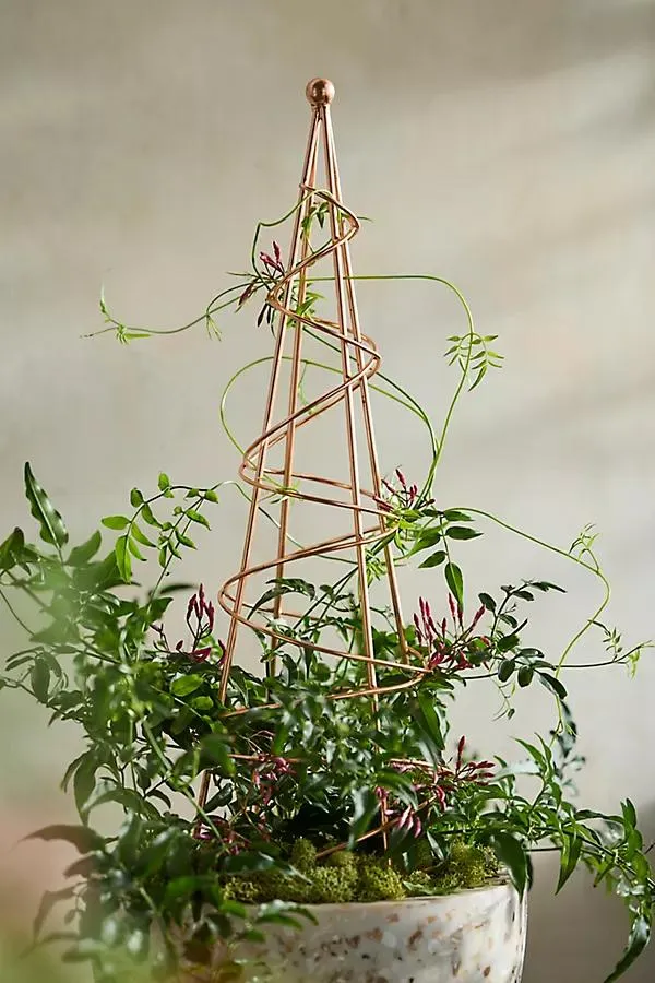 Copper Spiral Plant Obelisk