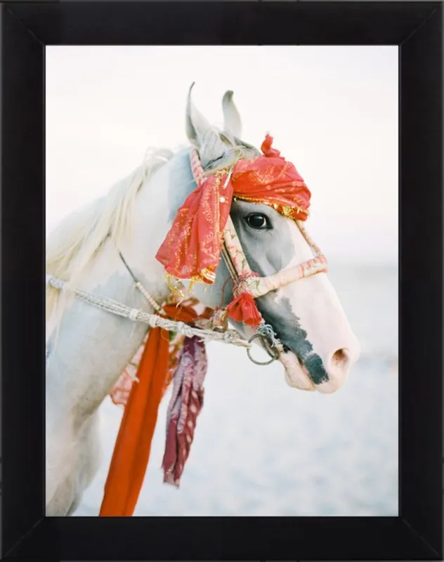 Marwari by Andrew Jacona for Artfully Walls