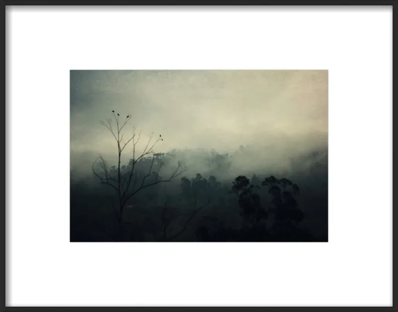 bird song by Ingrid Beddoes for Artfully Walls