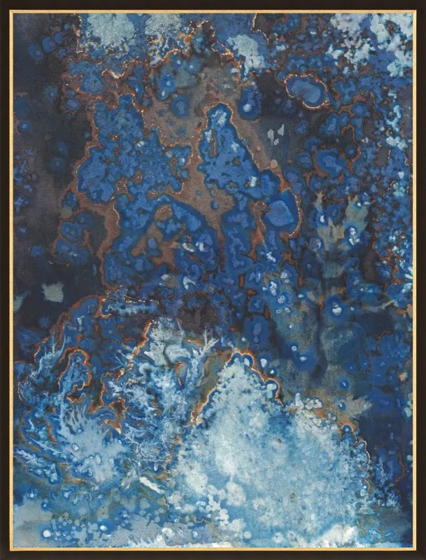 The Secret Life of Rockpools No. 27/100 by Desiree Elizabeth Malan for Artfully Walls