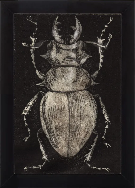 Grey Beetle on Black by Tennopent Sooster for Artfully Walls