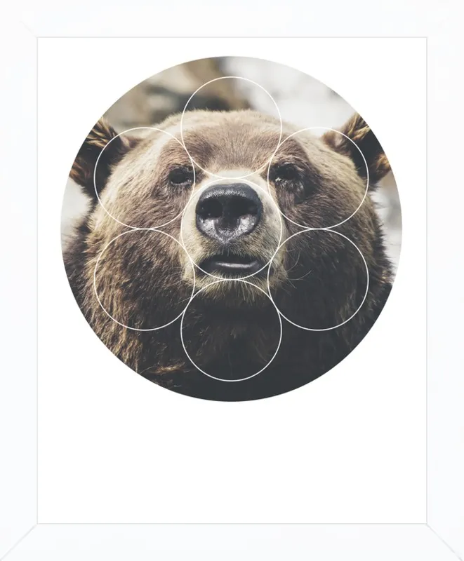 Big Bear Buddy - Geometric Photography by Emiliano Deificus for Artfully Walls