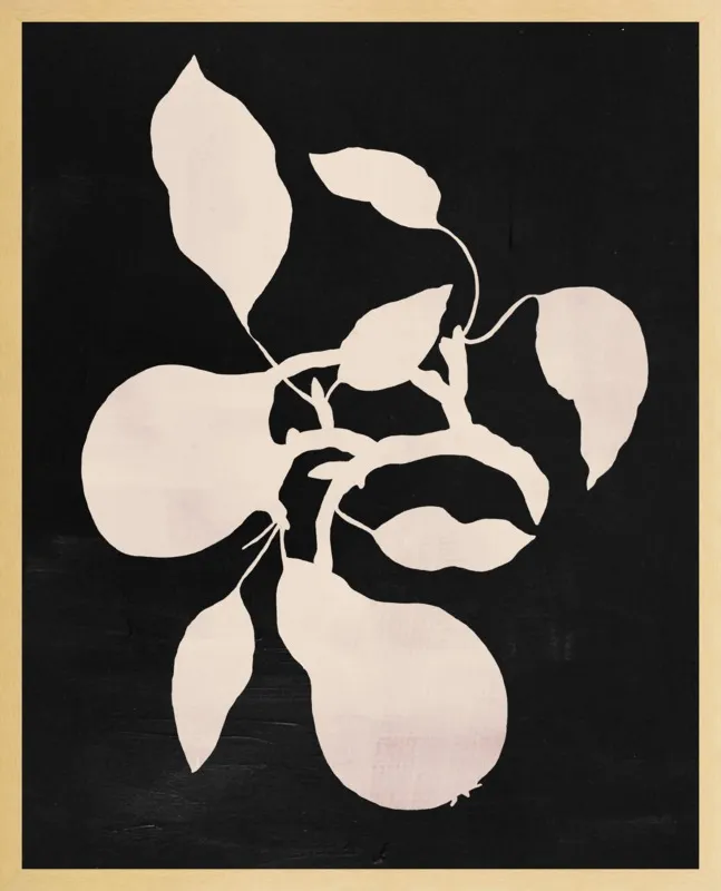 pears black and white by Ruti Shaashua for Artfully Walls