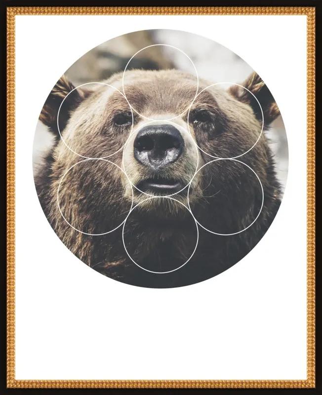 Big Bear Buddy - Geometric Photography by Emiliano Deificus for Artfully Walls