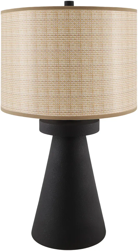 Icacos  Painted 24"H x 14"W x 14"D Accent Table Lamp