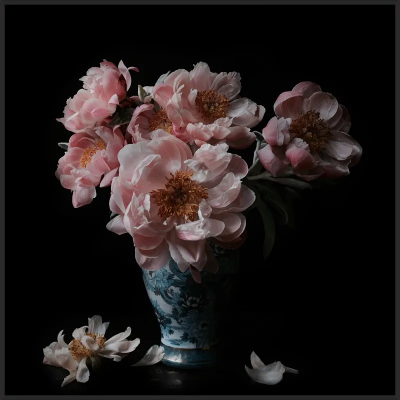 Pink Peonies  by Lucy Snowe for Artfully Walls