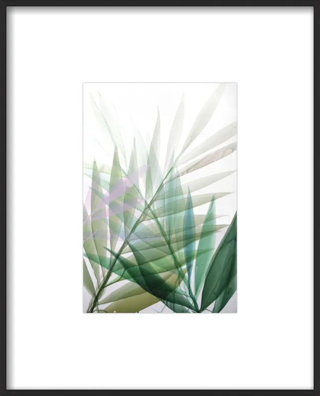 Tropical Study no. 8 by Marina Dunbar  for Artfully Walls