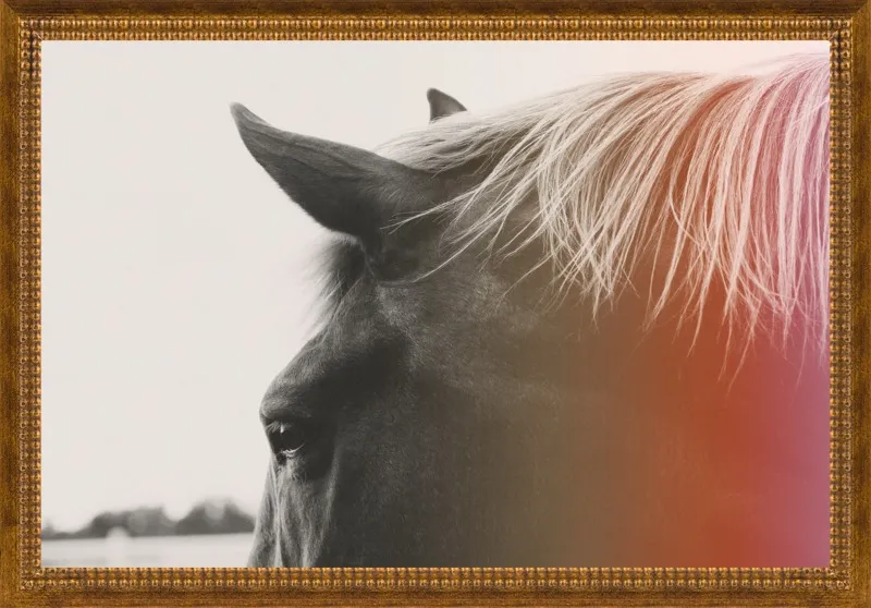 Pink Pony by Alicia Bock for Artfully Walls