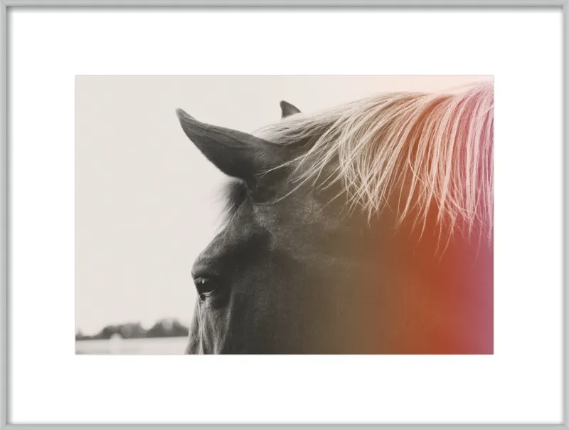Pink Pony by Alicia Bock for Artfully Walls