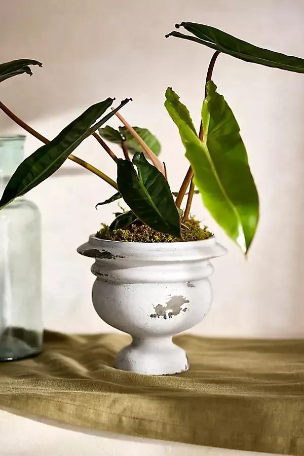 Weathered Mid-Century Cement Urn